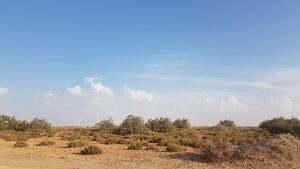 prestataire-mariage-el-mghair